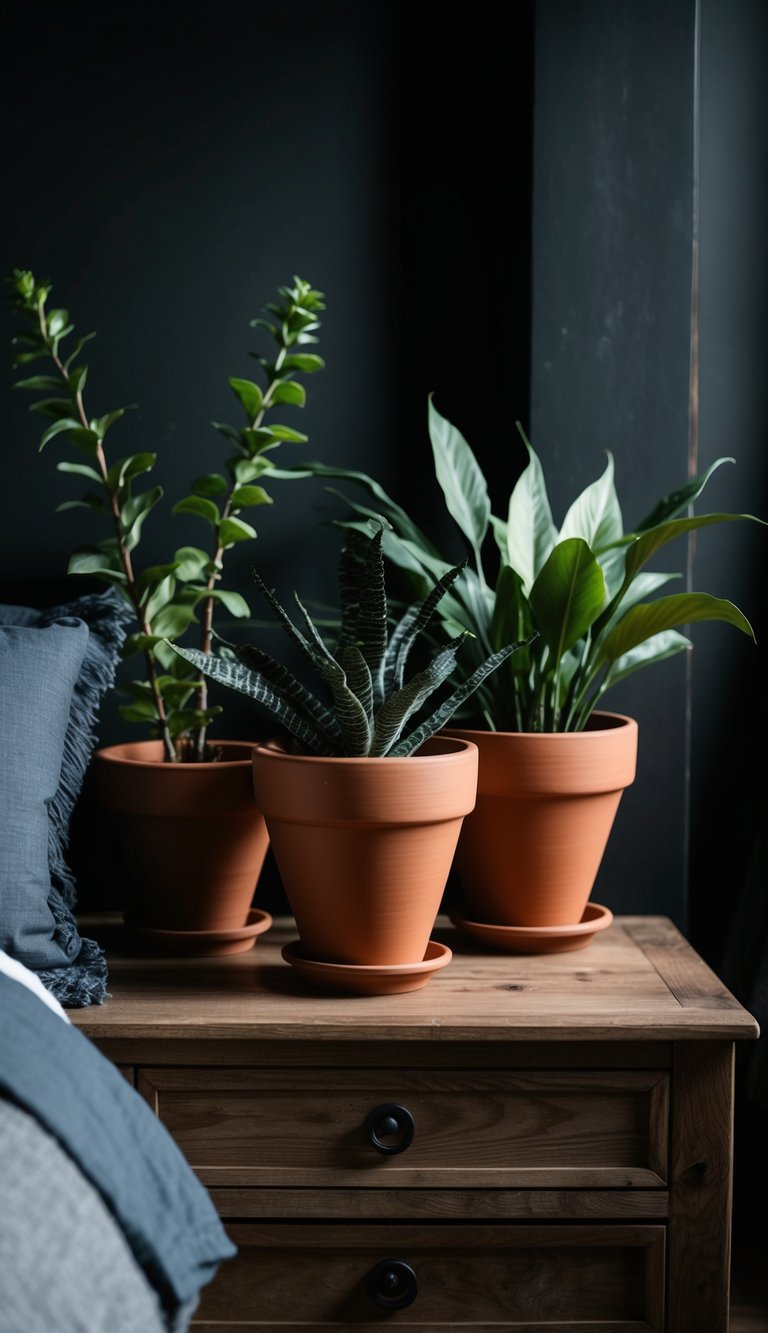 Terracotta pots with rugged plants adorn a dark western bedroom